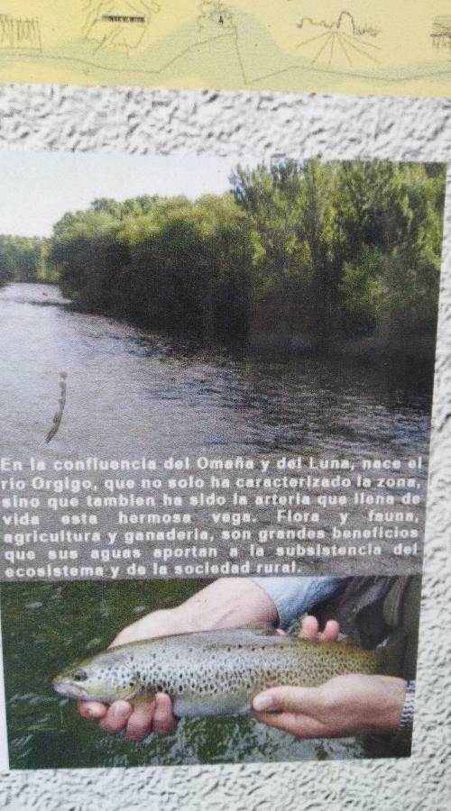 El Rinconcito De Llamas Llamas de la Ribera Εξωτερικό φωτογραφία